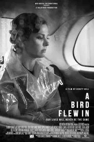 A Bird Flew In movie poster