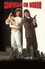 Poster do filme Confusão em Dobro