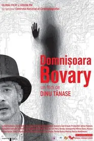Poster do filme Domnișoara Bovary