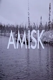 Amisk movie poster