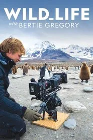 Poster da série Vida Selvagem com Bertie Gregory