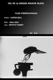 Flight of the Large Blue Fly movie poster