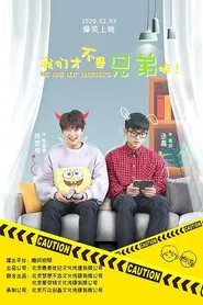 We Are Not Brothers tv show poster
