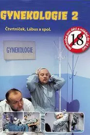 Gynekologie 2 tv show poster
