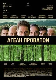 Poster do filme Pack of Sheep