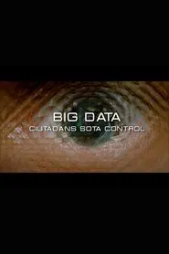 Big Data. Ciudadanos bajo control movie poster