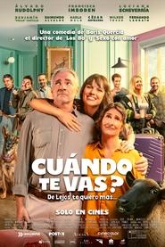 ¿Cuando te vas? movie poster