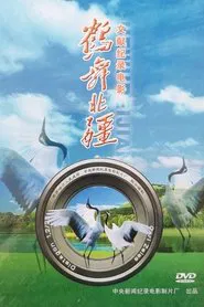 Crane City of the North movie poster