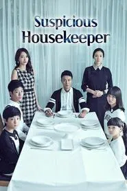 The Suspicious Housekeeper tv show poster