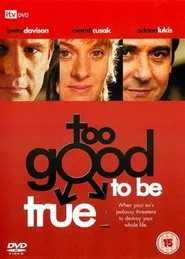 Too Good to Be True movie poster