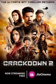 Crackdown tv show poster