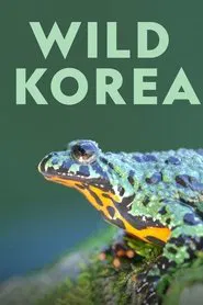 Wild Korea tv show poster