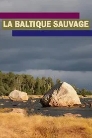Wildes Baltikum tv show poster
