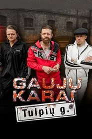 Gaujų karai. Tulpių gatvė tv show poster