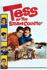 Poster do filme Tess of the Storm Country