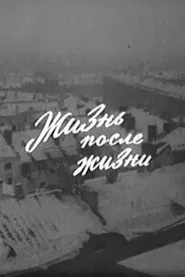 Жизнь после жизни movie poster