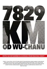 7829 km od Wu-chanu movie poster