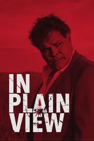 Poster do filme Caça a Testemunha