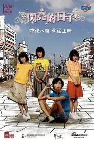 闪亮的日子 tv show poster