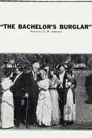 The Bachelor's Burglar movie poster
