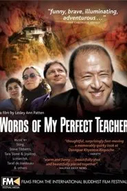 Words of My Perfect Teacher movie poster