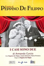 I Casi Sono Due movie poster
