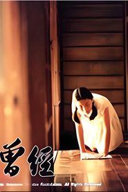 Poster da série 曾经
