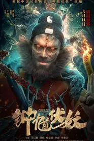Poster do filme Zhong Kui Subdues Demons