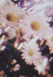 Poster do filme Amorphous diary