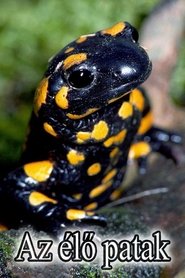 One in a Thousand movie poster