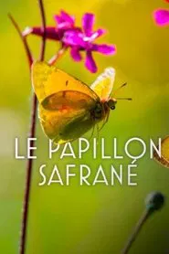 The Story of the Saffron Butterfly movie poster