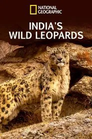 India's Wild Leopards movie poster