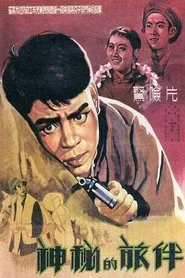 Poster do filme Mysterious Travelling Companion