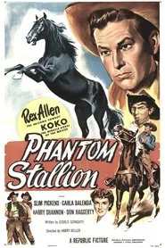 Poster do filme Phantom Stallion