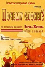 Почему слоны? movie poster
