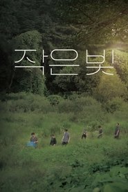 Poster do filme Tiny Light