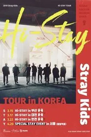 Poster do filme Stray Kids HI-STAY TOUR FINALE IN SEOUL