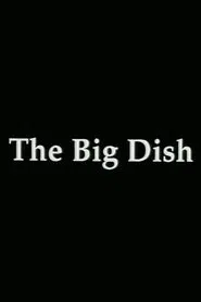 The Big Dish movie poster