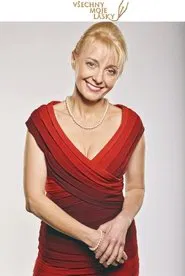 Všechny moje lásky tv show poster