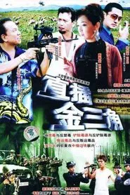 Poster da série 直插金三角