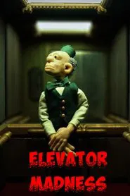 Poster do filme Elevator Madness