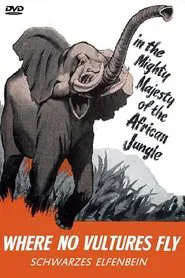 Where No Vultures Fly movie poster
