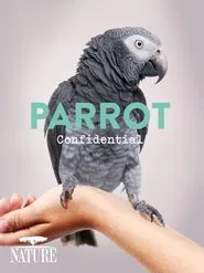Poster do filme Parrot Confidential