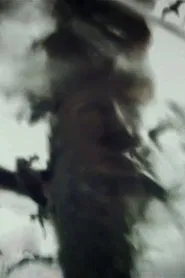 Spirit Stills movie poster