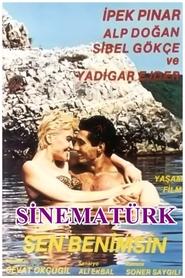 Poster do filme Sen Benimsin