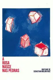 A Rosa Nasce Nas Pedras movie poster