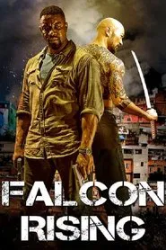 Falcon Rising movie poster