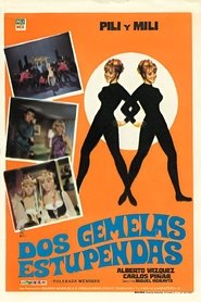 Dos gemelas estupendas movie poster