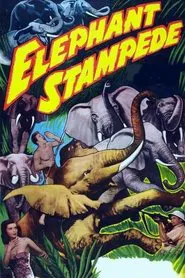 Elephant Stampede movie poster