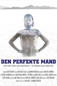 Den Perfekte Mand movie poster
